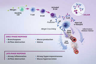 Omalizumab Dosing Chart